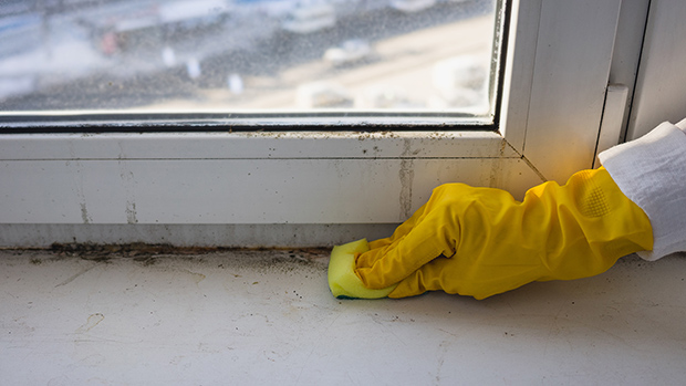 Grundreinigung Der Tuer Und Fensterrahmen